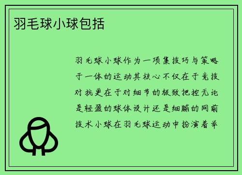 羽毛球小球包括